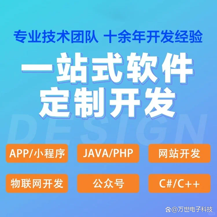 滨湖软件开发